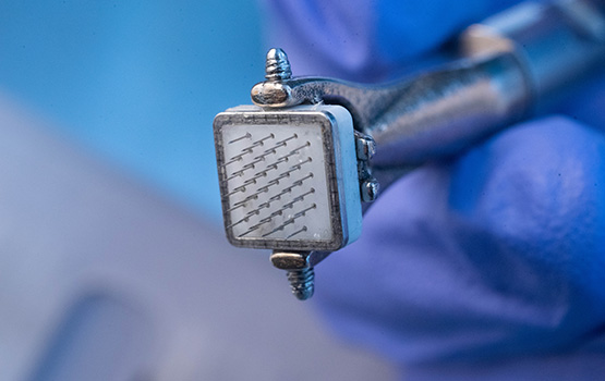 Monash Vision Group, Monash University