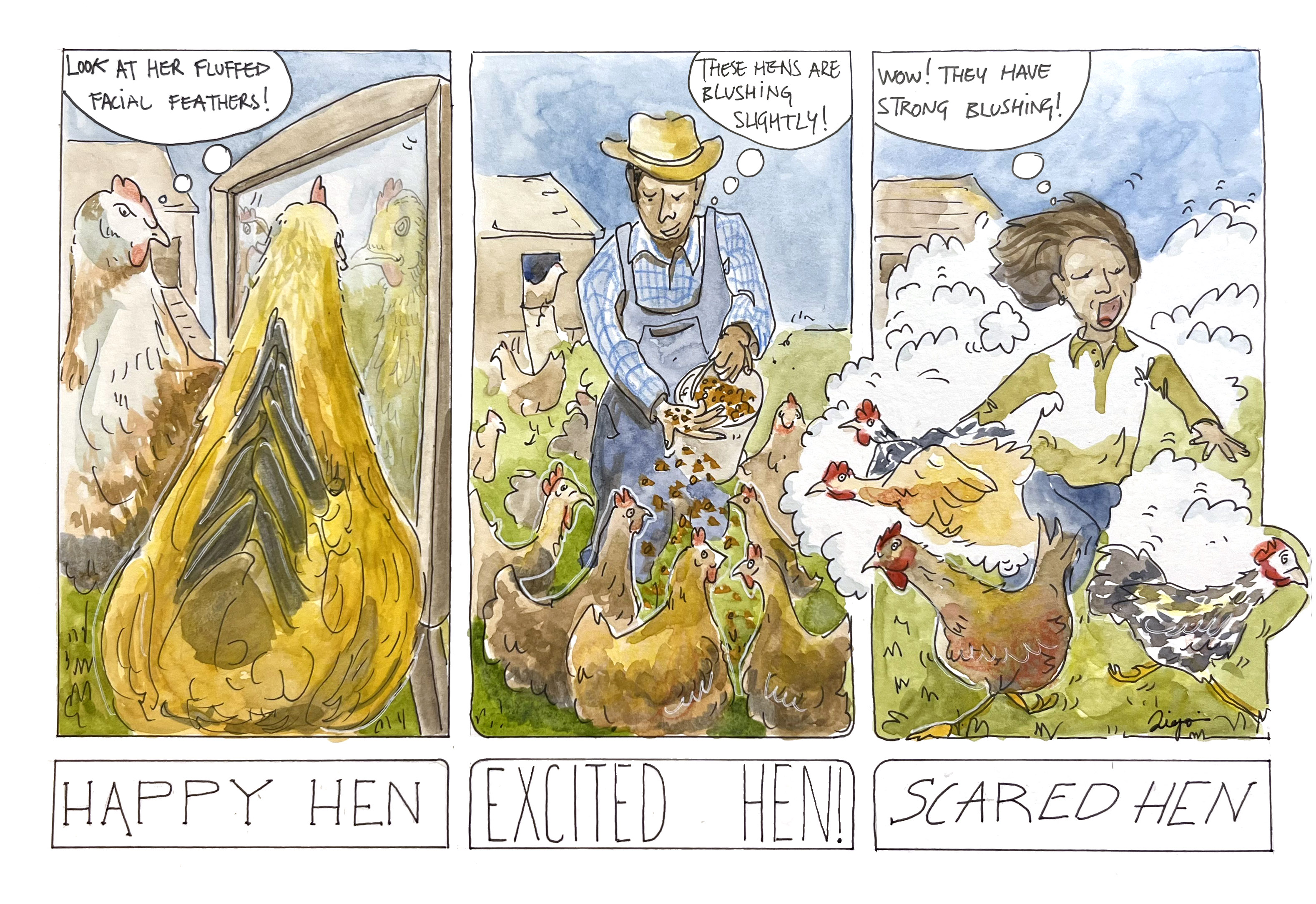 Domestic chickens were analyzed in different scenarios which evoked varied emotions and found to display facial redness (blushing) and facial feather fluffing. Happy, relaxed birds showed preening behaviors and facial feather fluffing. Happy, excited birds displayed slight blushing, while in fearfully excited birds, strong facial blushing was observed. Diego Perez-Lopez, PLOS, CC-BY 4.0  