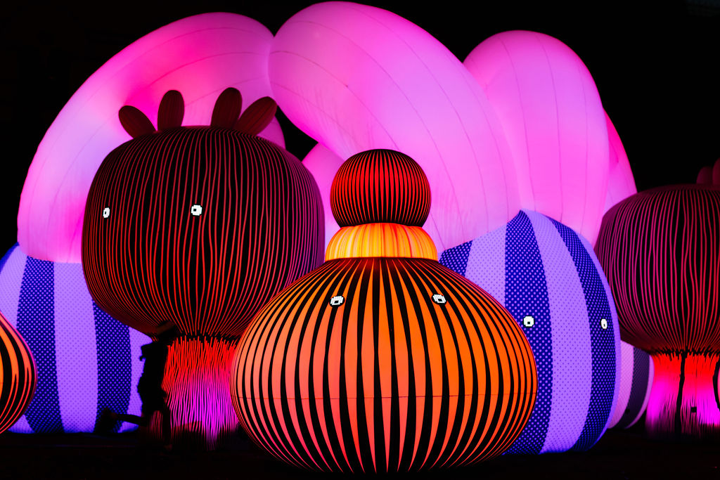 Frankie the Creative