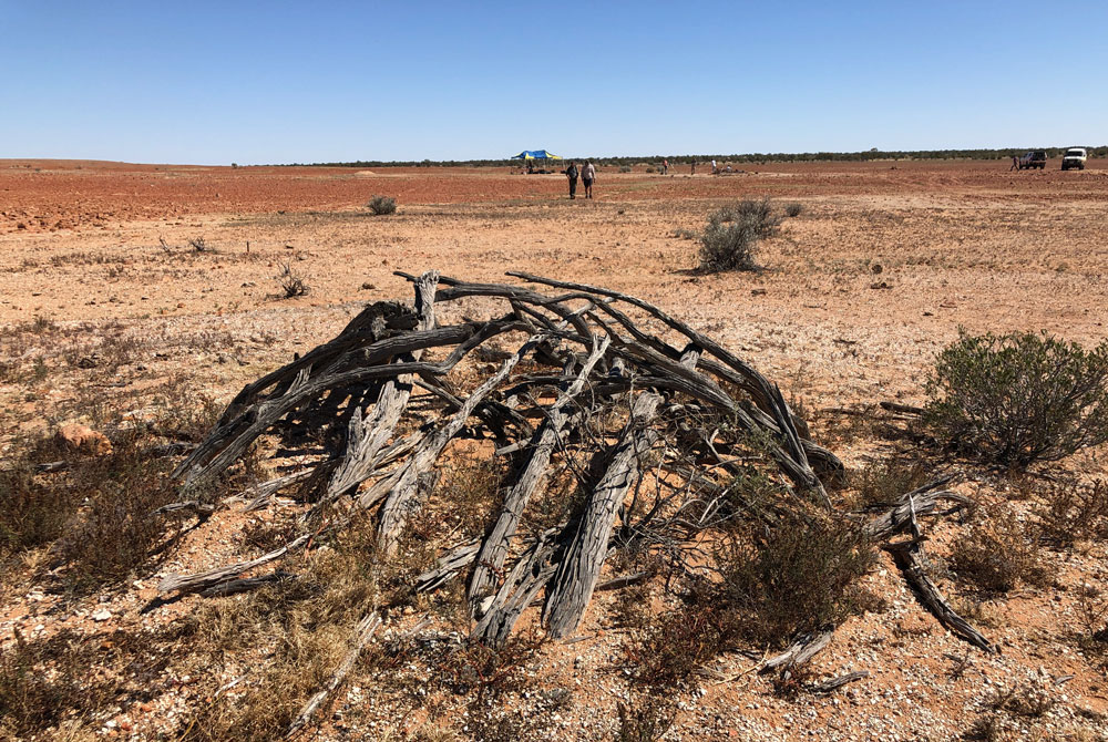 Remains of a gunyah on Country. Courtesy:  Michael Westaway