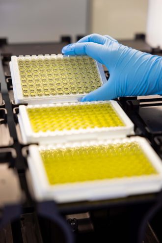 In the lab - 96-well plate