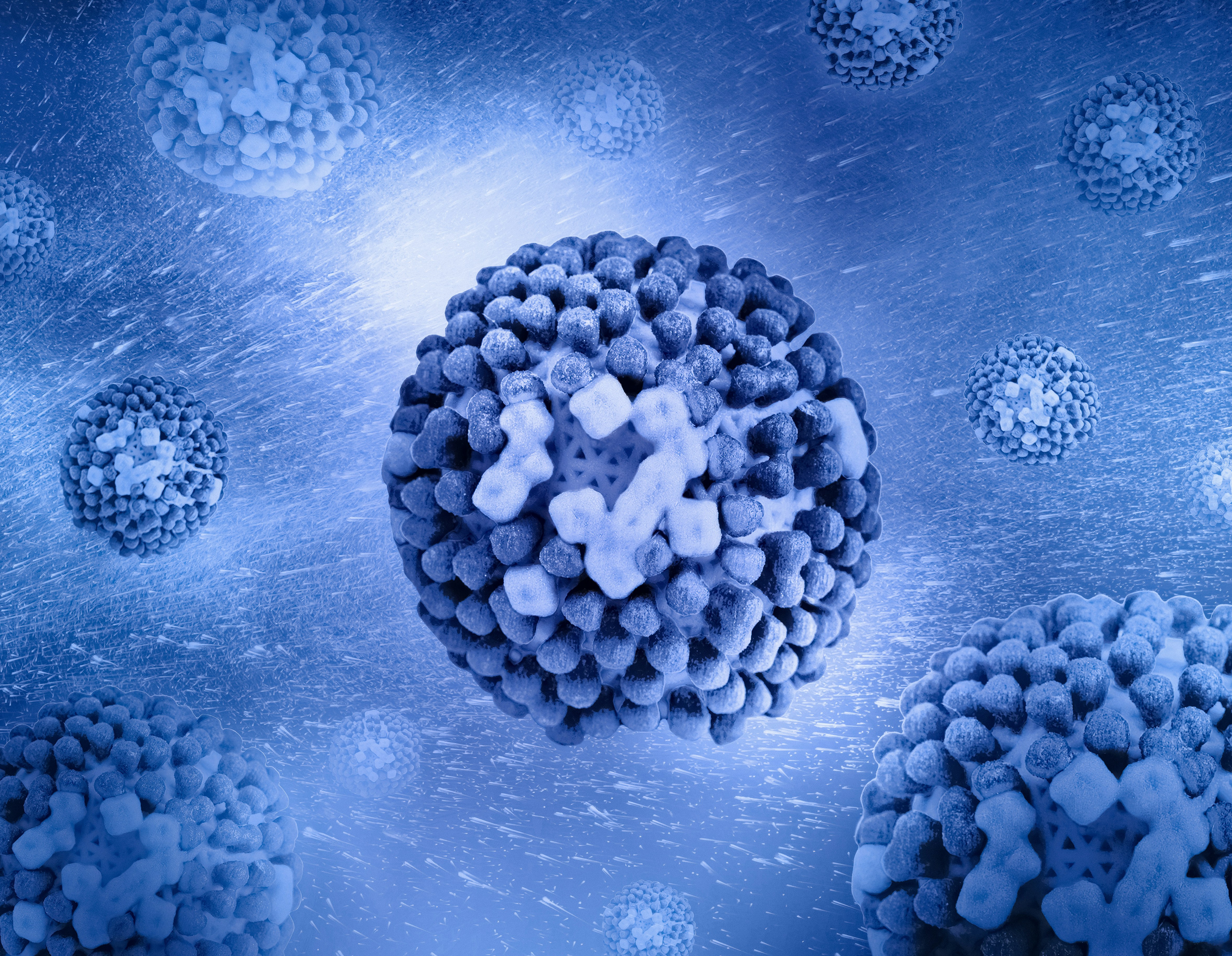 Photo by National Institute of Allergy and Infectious Diseases on Unsplash