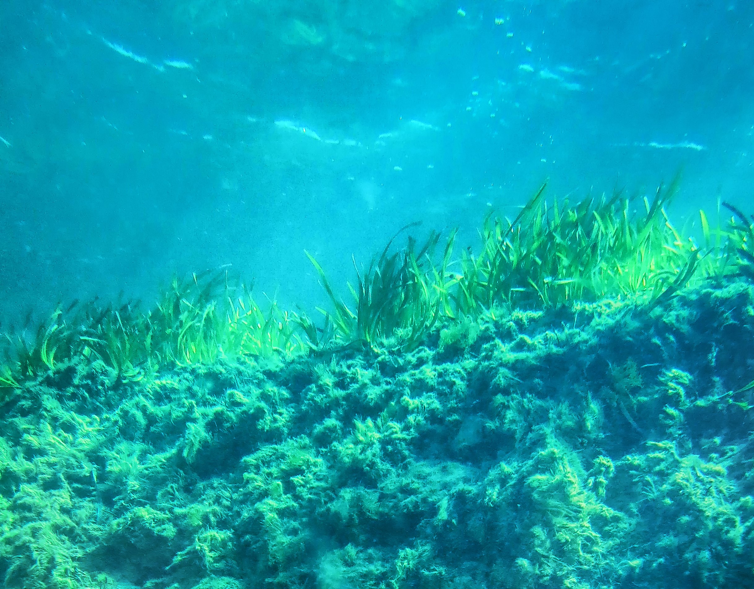 Edith Cowan University