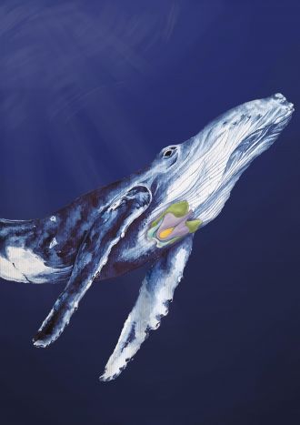 Painting of humpback whale indicating the cartilages of the larynx