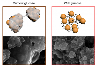 Stabilising the sulfur by incorporating sugar