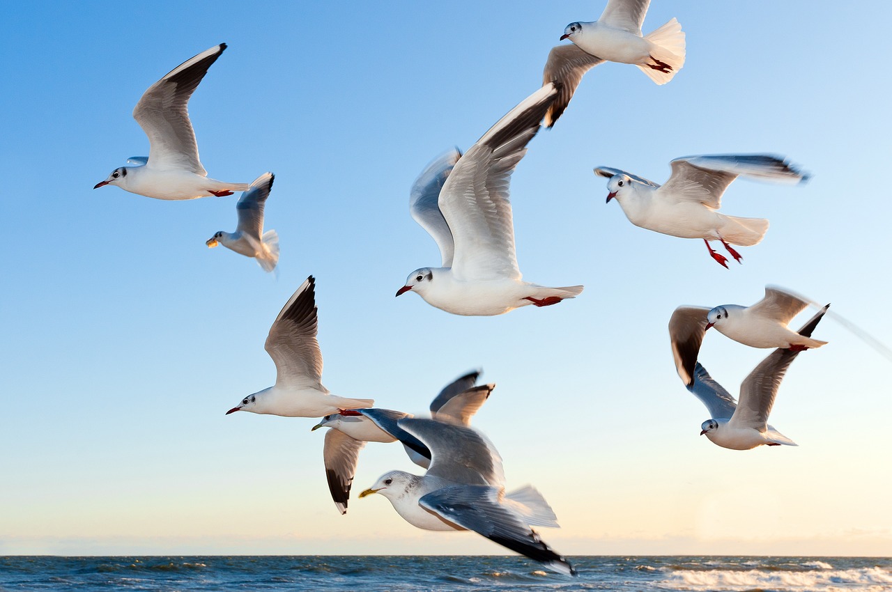 Image by André Rau from Pixabay