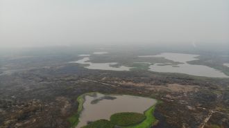 Pantanal wetland