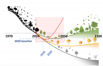 Biodiversity Recovery Curves