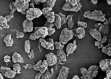 Electron microscopy scan showing the morphology and size distribution of microplastics.
