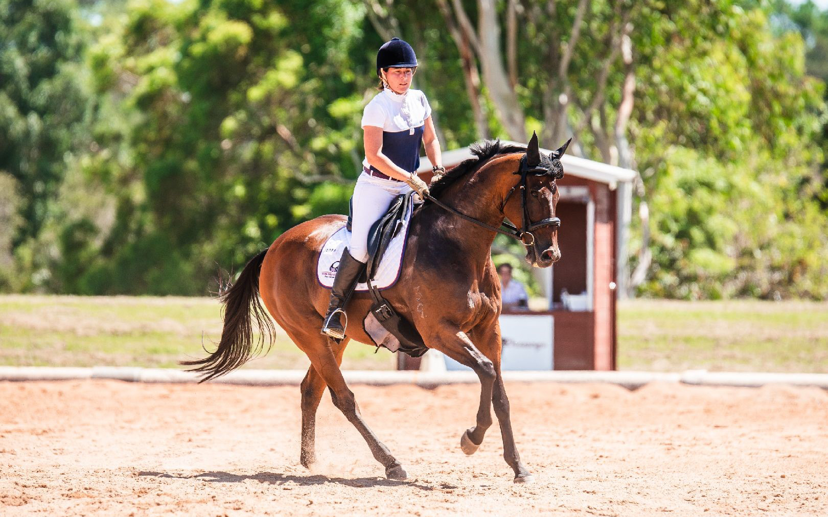 Credit: Queensland Racing Integrity Commission