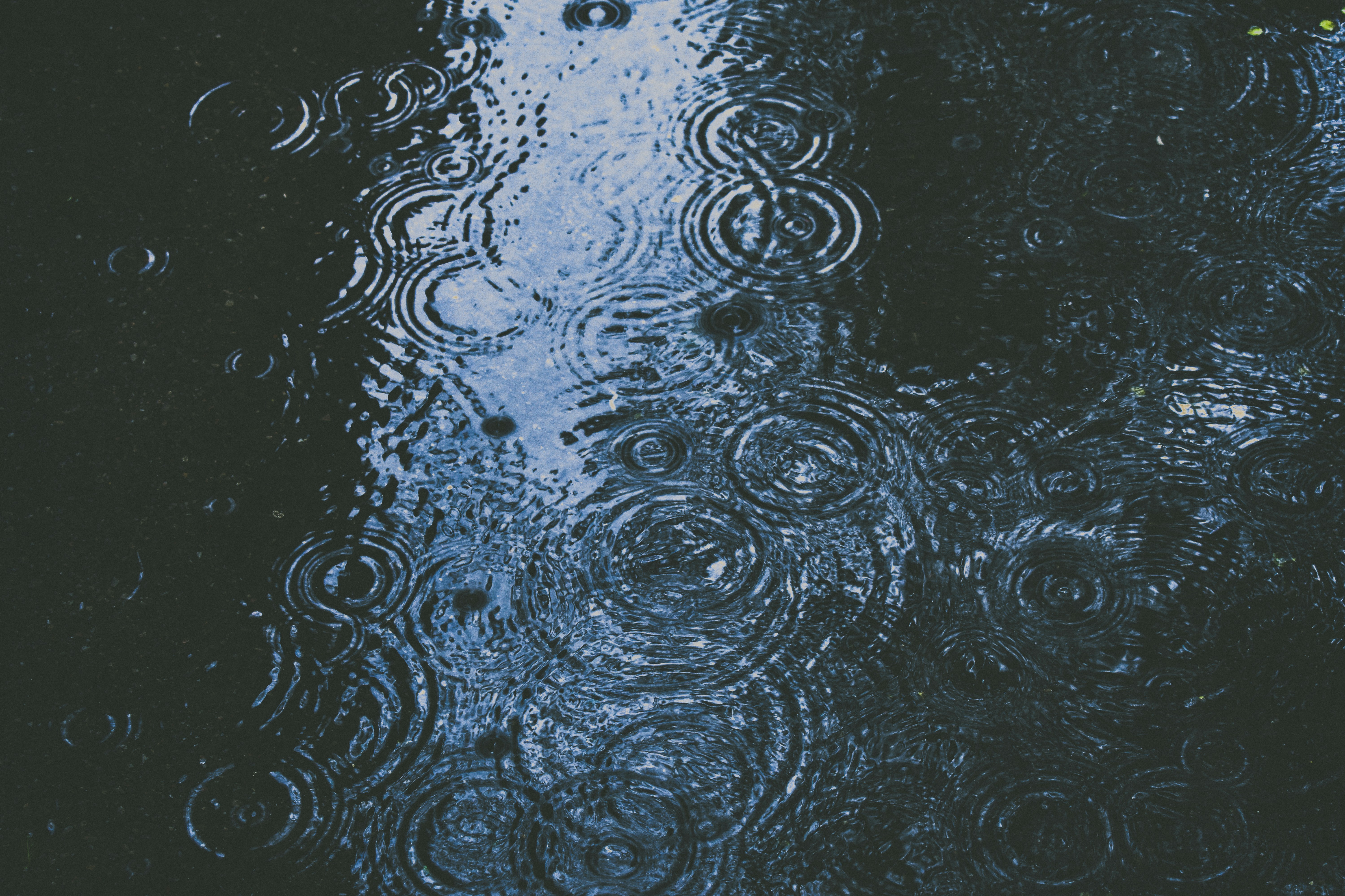 Photo by Alex Dukhanov on Unsplash