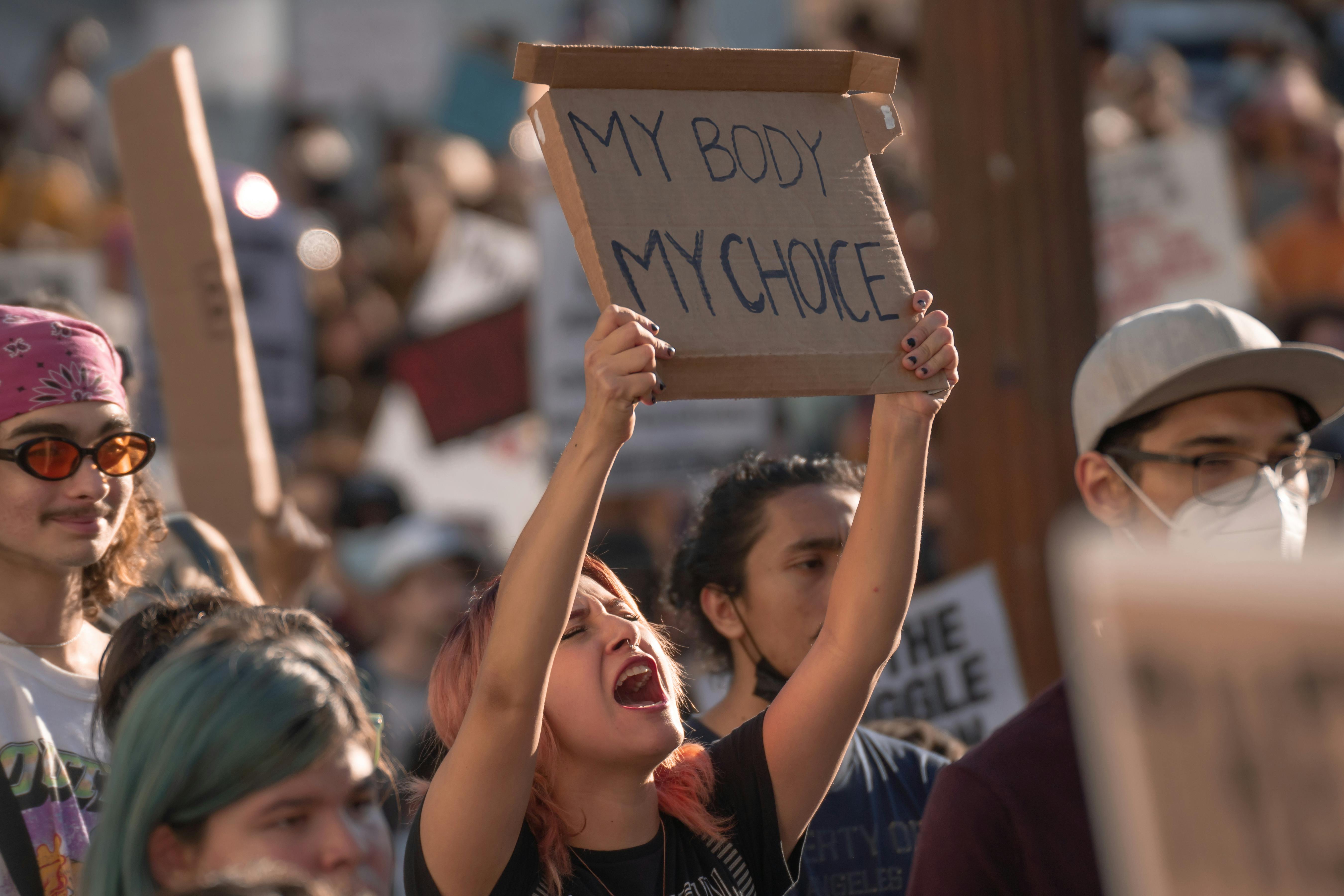 CC-0. https://www.pexels.com/photo/a-woman-protesting-holding-a-banner-12616196/