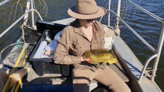 Dr Kaitlyn O’Mara holding a spotted tilapia.