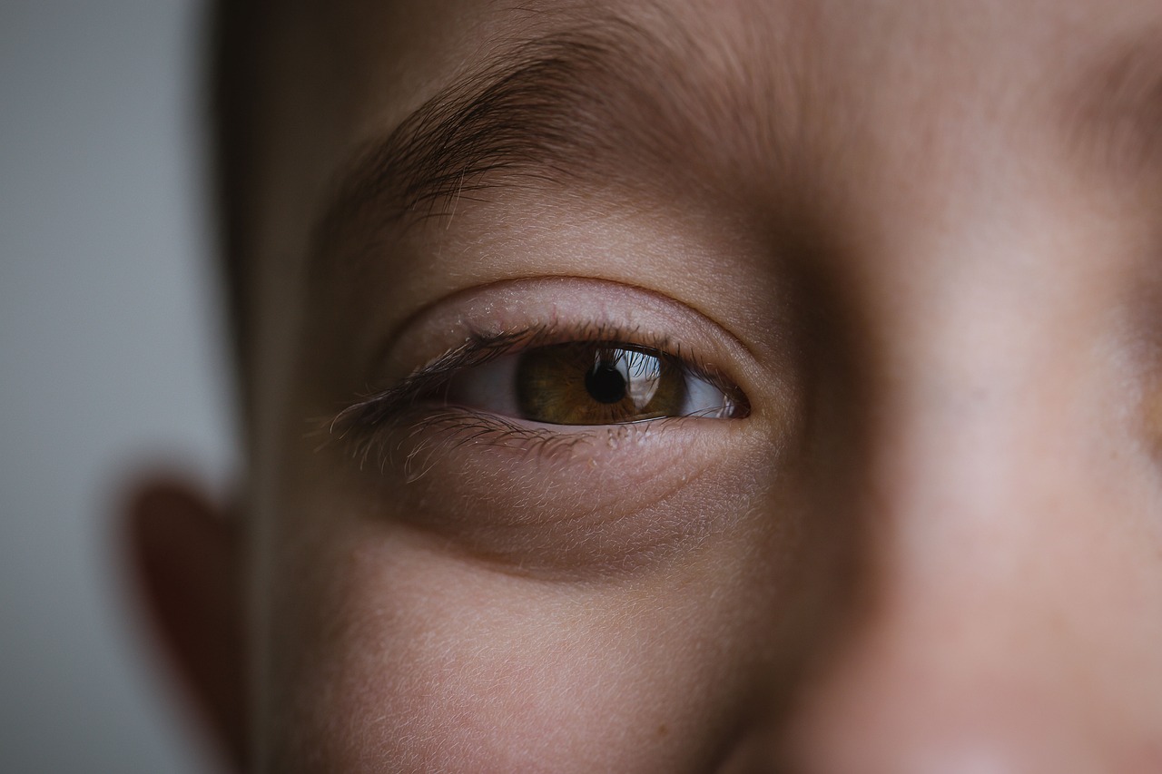 CC-0. https://pixabay.com/photos/boy-brown-eyes-eyes-face-male-4948961/