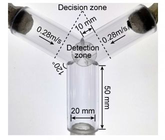The y-maze olfactometer used to determine the flies’ ability to detect an odour