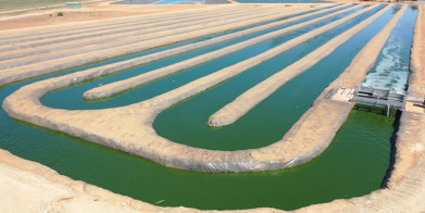 The Peterborough HRAP operations treat wastewater for reuse for sporting areas for the local community. 