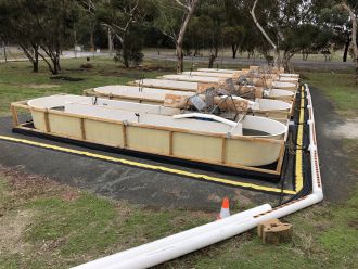 Field site at Angaston