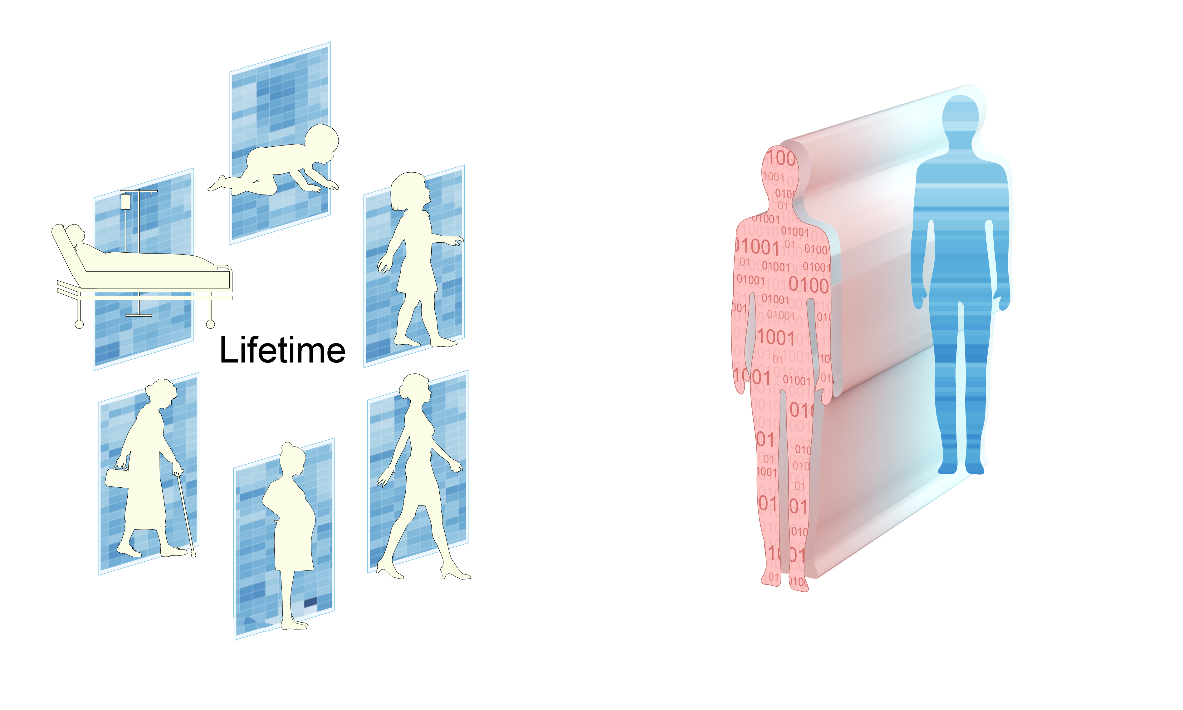 The project will take the advantages of latest advances  in data and computational sciences to uncover composing principles of the human body, to generate a  digitized model called Meta Homo Sapiens, and to build a ‘GPS’ (Global Positioning System) for the human  body and body’s states. credit: π-HuB  Consortium