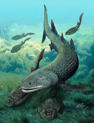 Life reconstruction