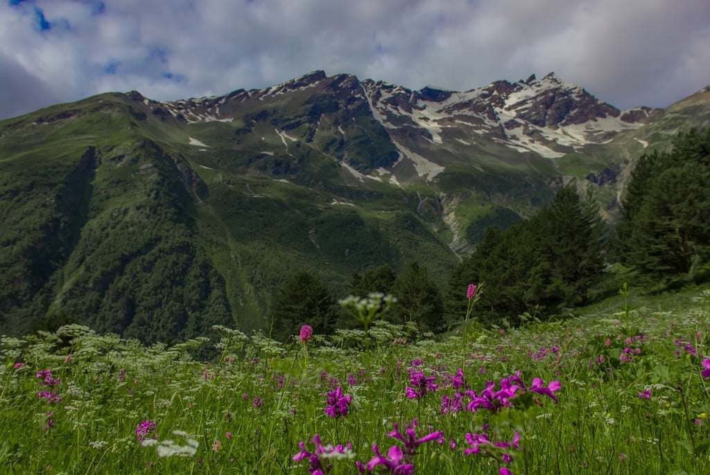 CC-0. https://picryl.com/media/elbrus-region-mountains-the-caucasus-nature-landscapes-dffb55