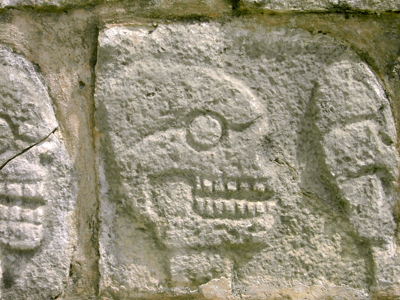 Detail from the reconstructed stone tzompantli, or skull rack, at Chichén Itzá Credit: Christina Warinner
