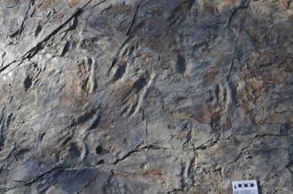 Image 1: