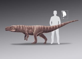 Image 3: