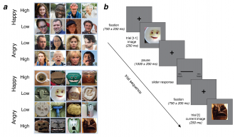 Examples of human faces and illusory faces