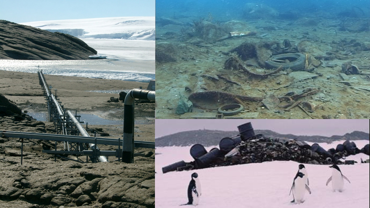 Pollution in Antarctic marine environments. Credit: Stark et al. & Australian Antarctic Division, CC-BY 4.0 