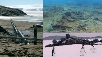 Pollution in Antarctic marine environments