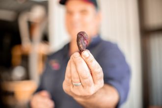 Bee propolis research - Supplied by UniSC