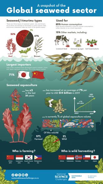 A snapshot of the global seaweed sector