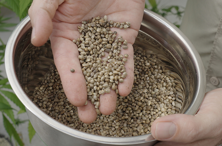 Southern Cross University