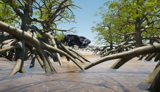 Sea level flooding - Mangroves Image. 