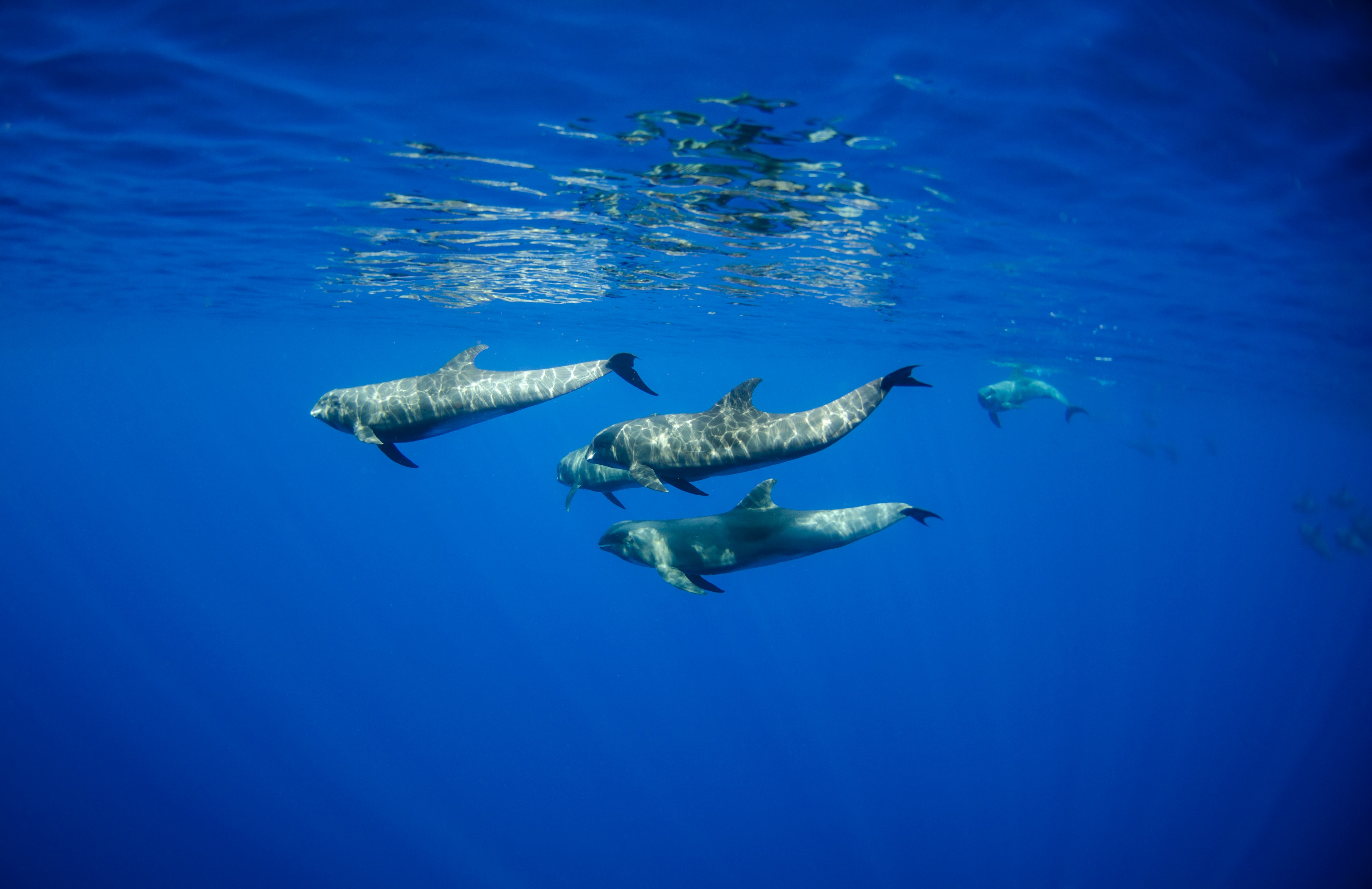 Photo by NOAA on Unsplash