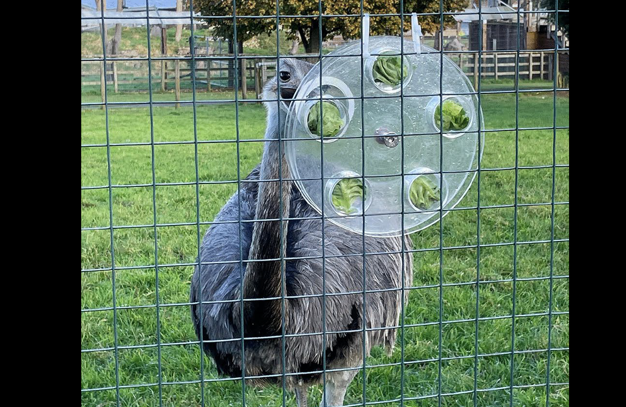 The task in situ with rhea R1 attempting to solve it. This can be found in the paper as Figure 3.  Credit: Clark