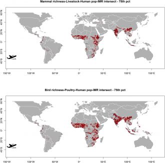 Red-alert zones