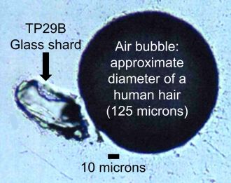 A tiny glass shard less than the diameter of human hair