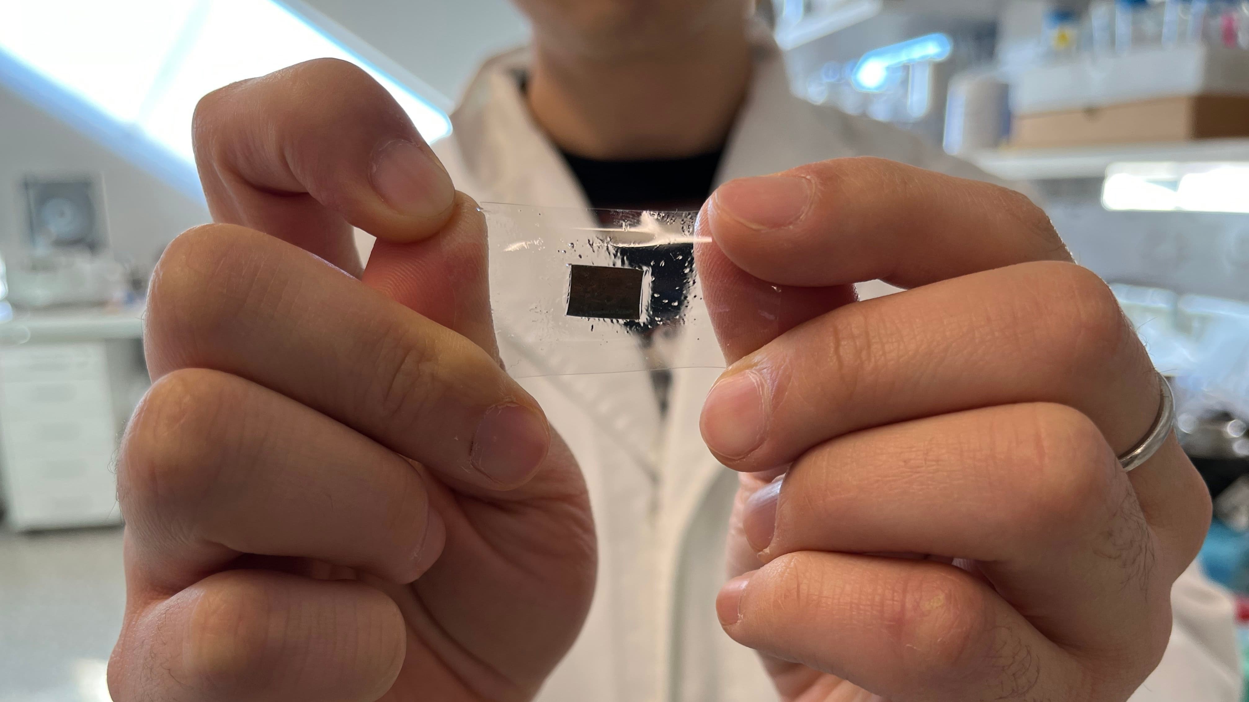 Wearable 'skin' and biosensor (more images and video via media kit)