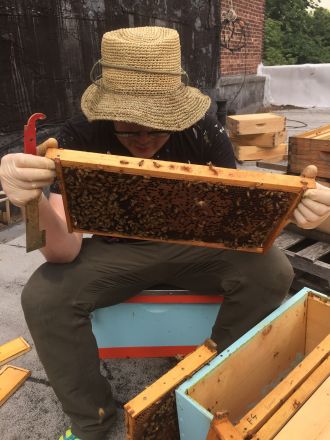 Beekeeper Tim O’Neal inspecting a frame from a Langstroth hive in Fort Greene