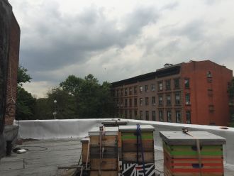 Rooftop hives kept by beekeeper Tim O’Neal in Fort Greene, Brooklyn, New York. 