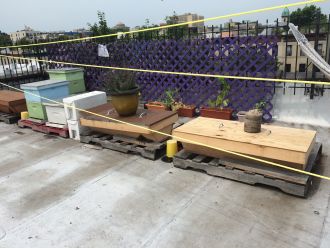 Top bar hives (right) and langstroth hives (left)