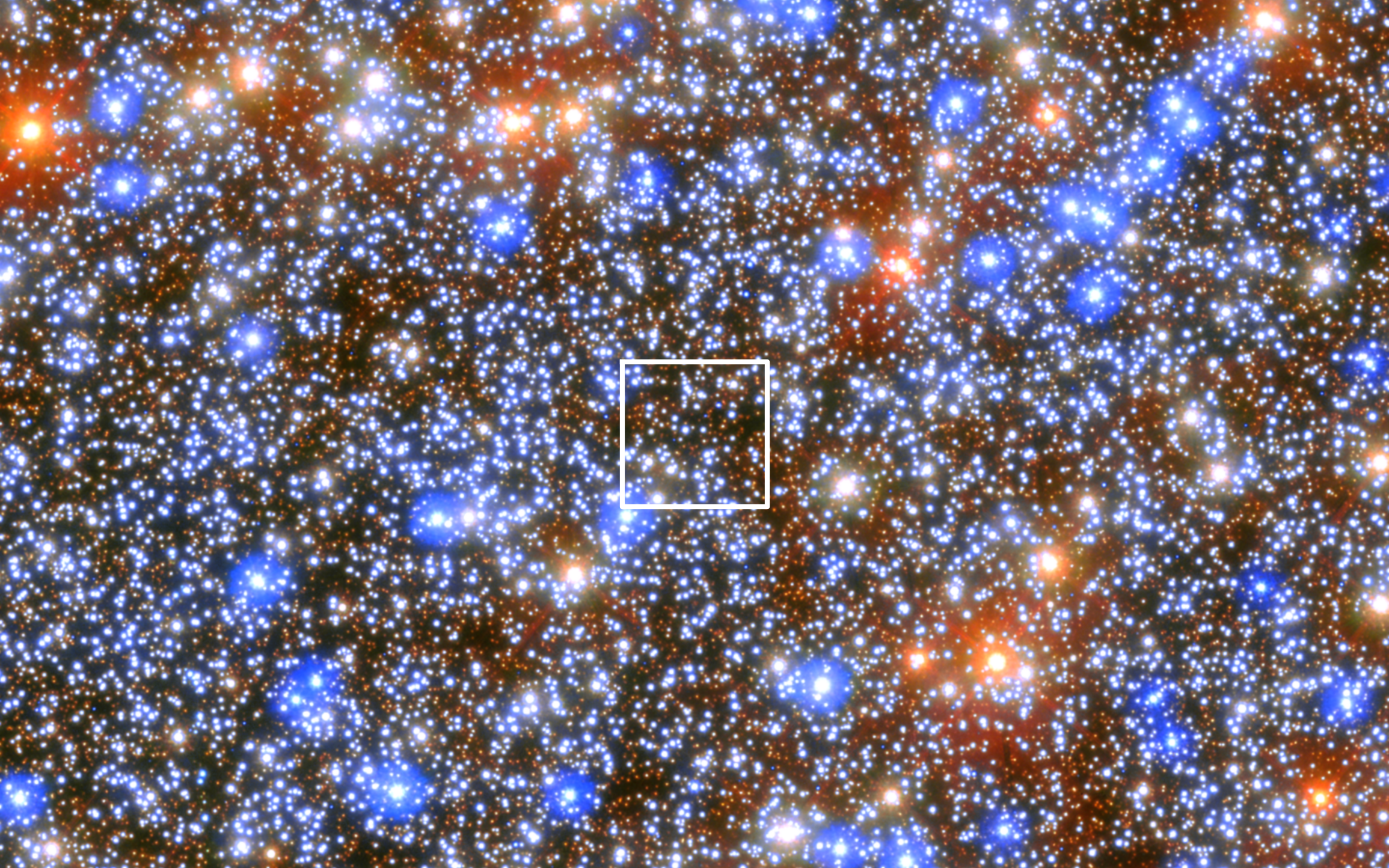 The likely location of the imtermediate-mass black hole.
