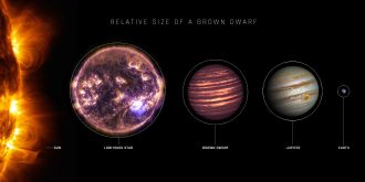 Relative size of a brown dwarf star