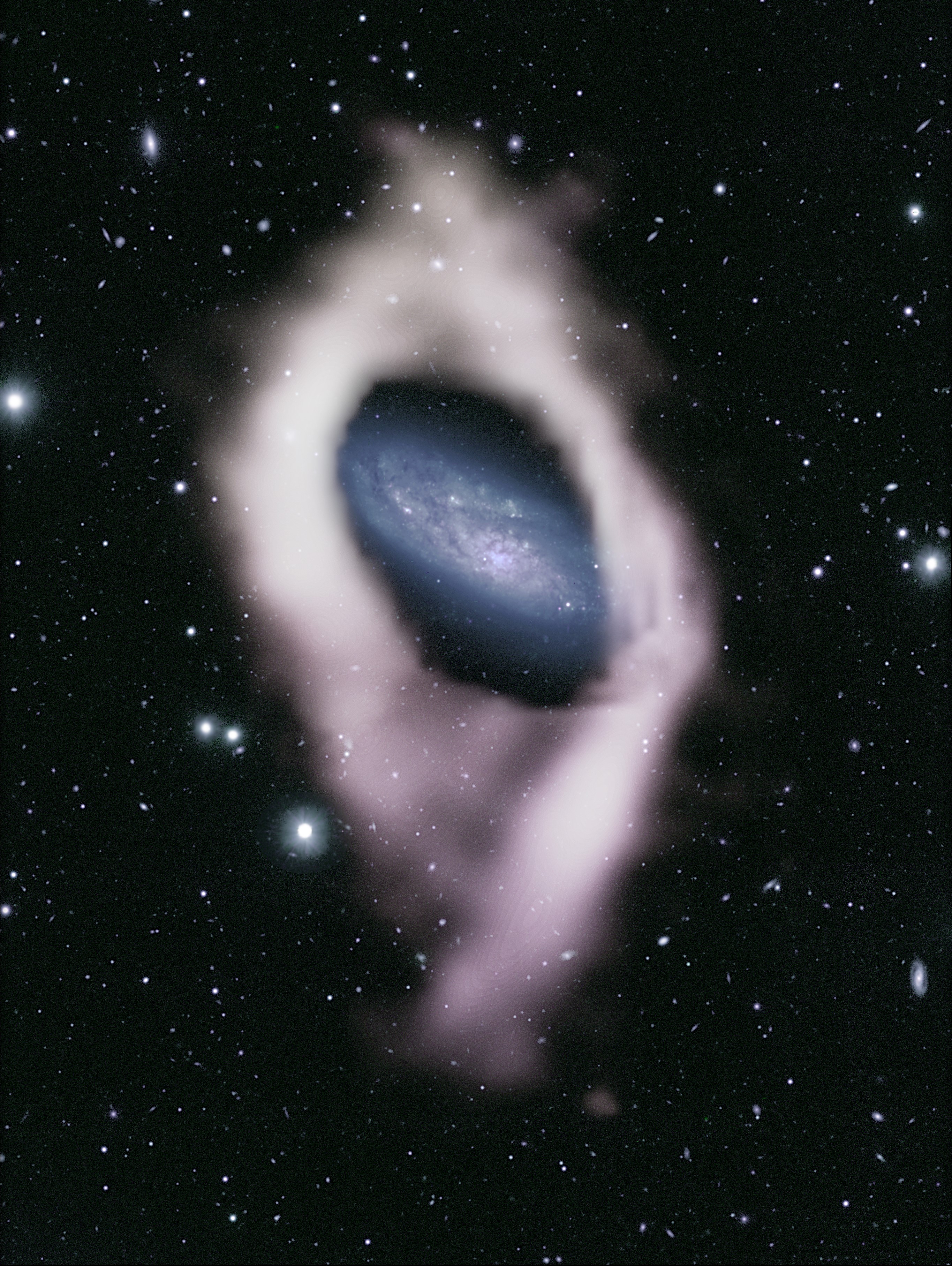 Caption: Dr Jayanne English, an expert in astronomy image-making at the University of Manitoba, combined data obtained from ASKAP with optical and infrared data from the Subaru telescope in Hawaii to make the dramatic composite image of NGC 4632. Image Credit: J. English (U.Manitoba), with support of T. Jarrett (UCT) and the WALLABY team: ATNF/ASKAP:Suburu/Hyper Suprime Camera