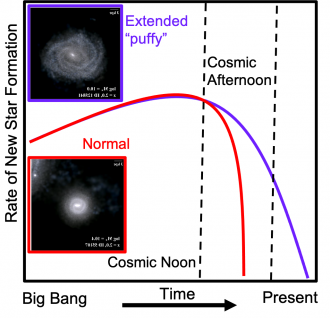 A graph showing how extended or ‘puffy’ galaxies continue to make stars longer