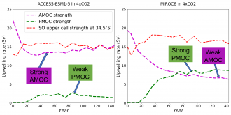Climate model simulations