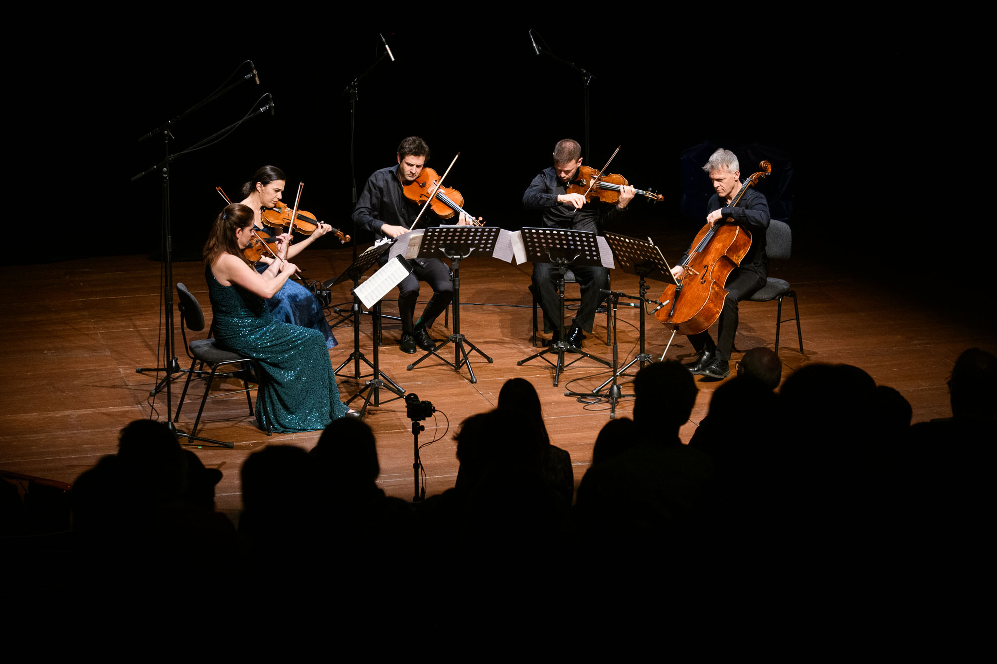 The string quartet Ensemble Epitaph performing for the audience on 12th September 2020. Credit: Phil Dera