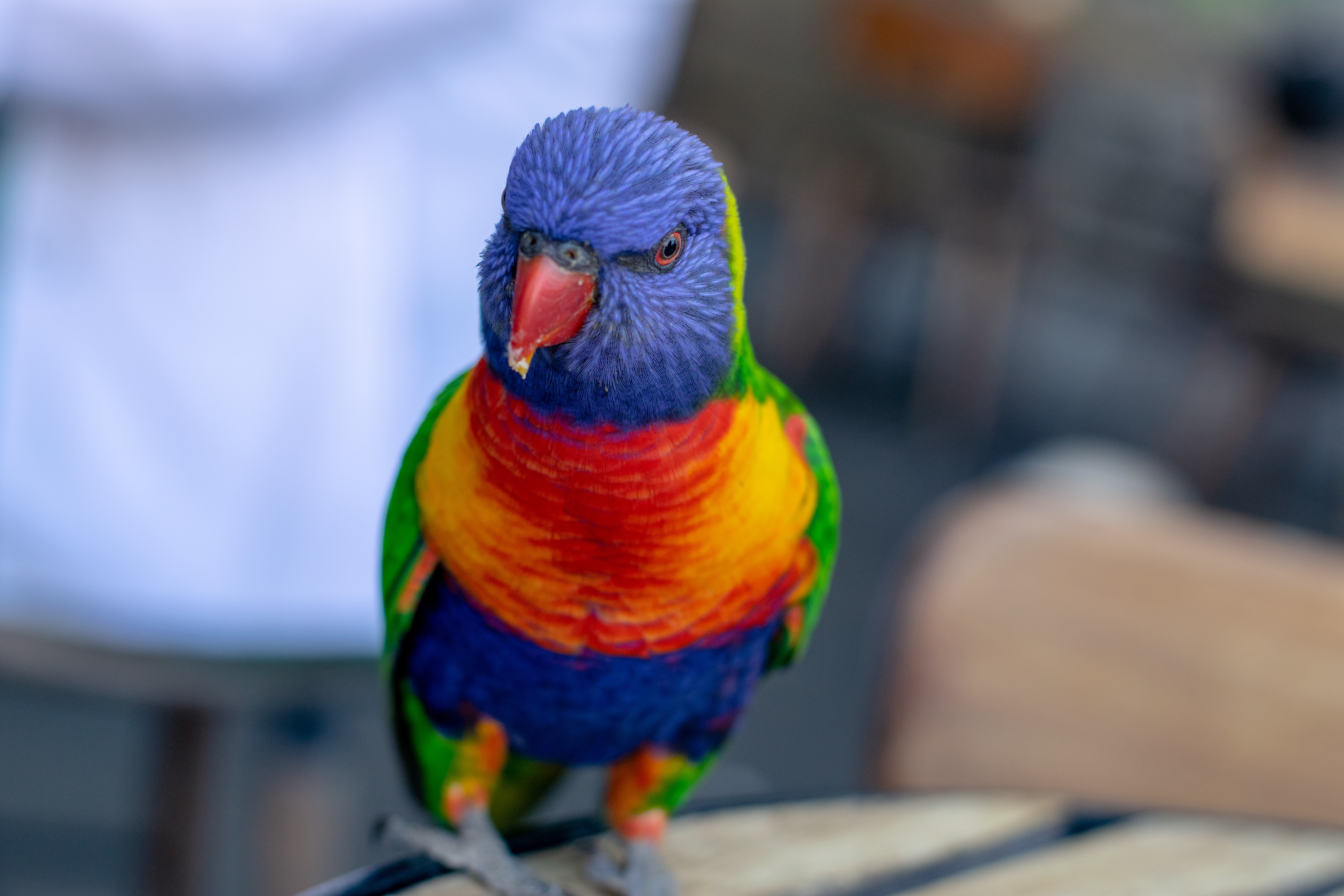 Photo by April Pethybridge on Unsplash