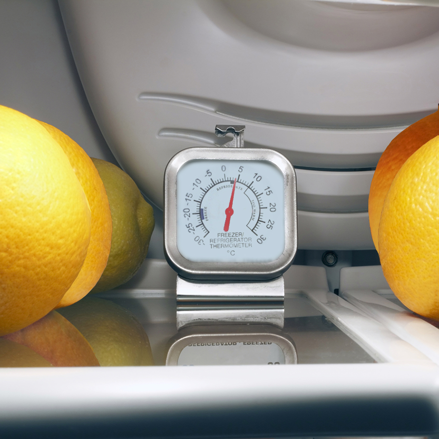 Fridge thermometer